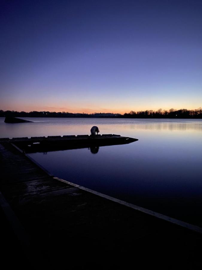 Gites De L'Etang Des Noues Σολέ Εξωτερικό φωτογραφία