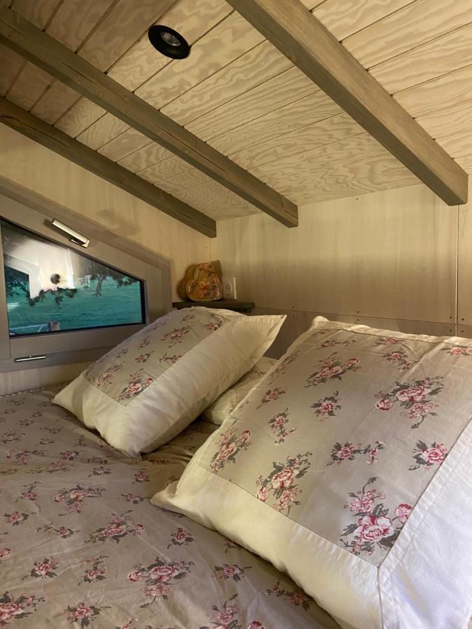 Gites De L'Etang Des Noues Σολέ Εξωτερικό φωτογραφία