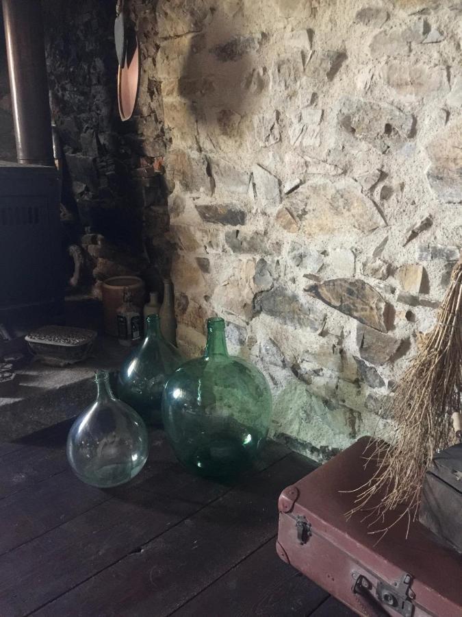 Gites De L'Etang Des Noues Σολέ Εξωτερικό φωτογραφία